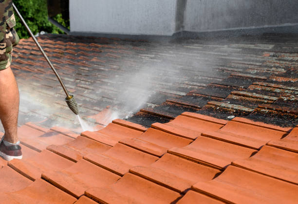 Why Choose Our Certified Pressure Washing Experts for Your Project Needs in Parkland, FL?